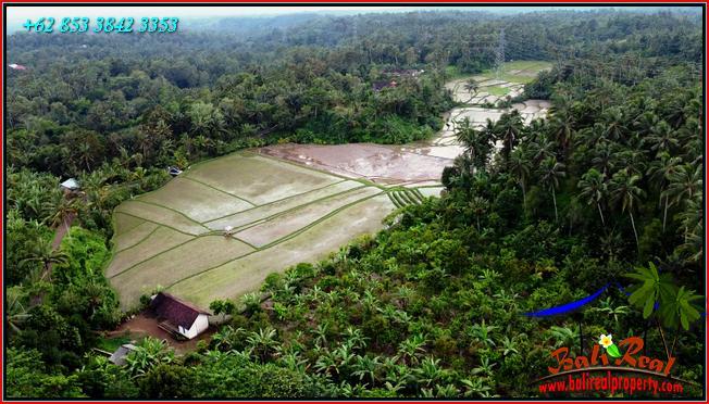 Beautiful PROPERTY Pupuan Tabanan LAND FOR SALE TJTB554
