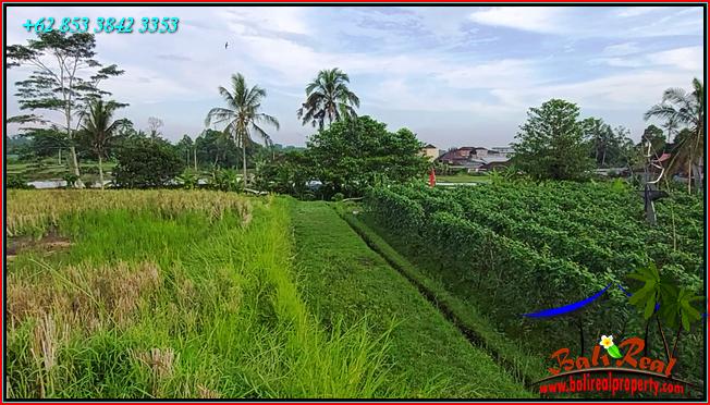 Cheap property LAND IN Penebel Tabanan FOR SALE TJTB559