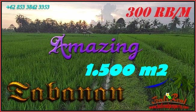 FOR SALE Magnificent LAND IN TABANAN BALI TJTB561