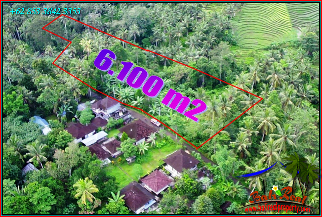 Exotic 6,100 m2 LAND FOR SALE IN Selemadeg Timur BALI TJTB547