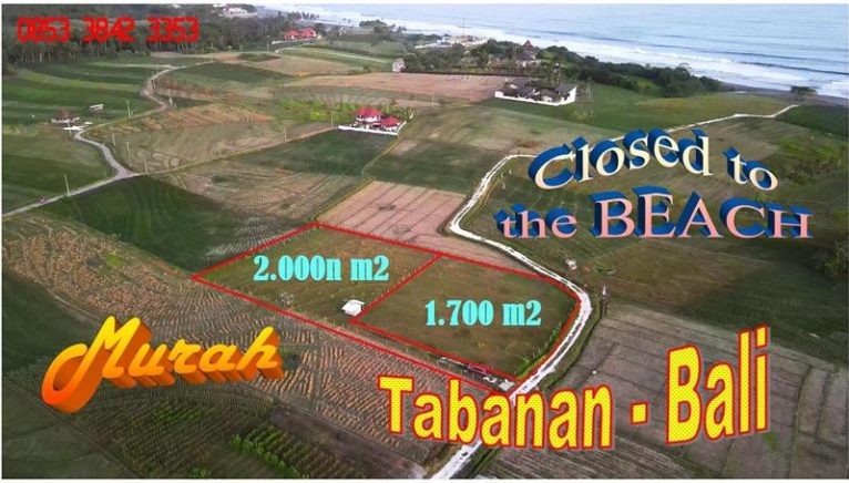 Beautiful PROPERTY LAND IN Selemadeg Tabanan BALI FOR SALE TJTB741