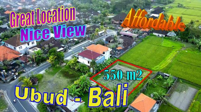Exotic LAND in Sukawati Ubud for SALE TJUB864