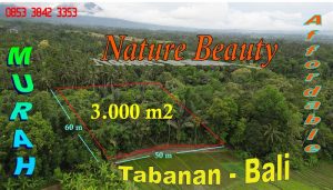 Affordable LAND FOR SALE IN Penebel Tabanan TJTB794