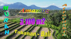 Affordable LAND SALE IN TABANAN BALI TJTB788