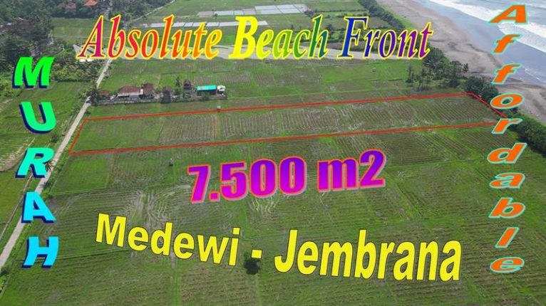 Affordable 7,500 m2 LAND IN Jembrana BALI FOR SALE TJB2039