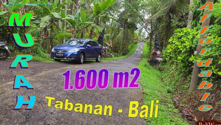 Magnificent PROPERTY LAND FOR SALE IN Penebel Tabanan BALI TJTB780