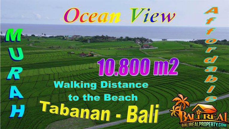 10,800 m2 LAND FOR SALE IN Selemadeg Timur, Tabanan BALI TJTB815