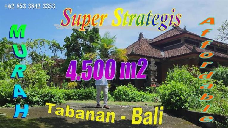 Magnificent PROPERTY 4,500 m2 LAND FOR SALE IN TABANAN TJTB820