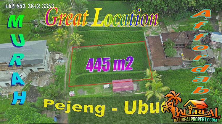 Beautiful 445 m2 LAND SALE in Pejeng Ubud BALI TJUB878