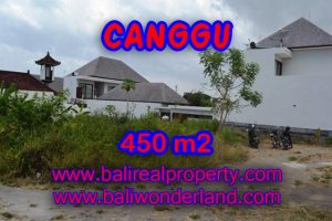 Fantastic Land for sale in Bali, rice fields view land for sale in Batu Bolong