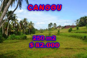 Land in Bali for sale, Fantastic rice paddy view in Canggu Pererenan – TJCG115