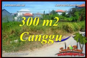 FOR SALE 300 m2 LAND IN CANGGU TJCG225