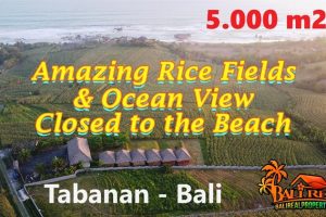 5,000 m2 LAND FOR SALE IN Selemadeg Timur Tabanan BALI TJTB765