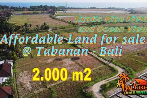 Cheap property 2,100 m2 LAND FOR SALE IN TABANAN TJTB770