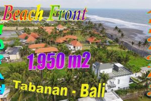 Affordable PROPERTY 1,950 m2 LAND IN TABANAN FOR SALE TJTB776