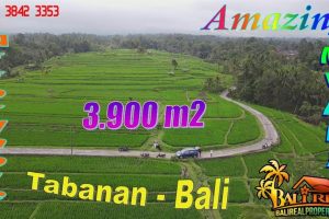 Exotic PROPERTY 3,875 m2 LAND IN TABANAN FOR SALE TJTB779