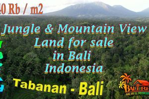 Cheap property 12,980 m2 LAND FOR SALE IN TABANAN TJTB795