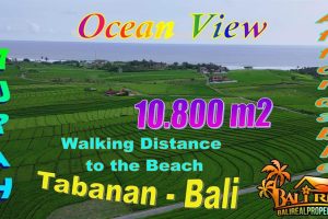 10,800 m2 LAND FOR SALE IN Selemadeg Timur, Tabanan BALI TJTB815