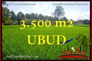 Affordable PROPERTY 3,500 m2 LAND IN UBUD BALI FOR SALE TJUB660