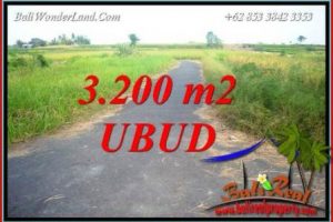 FOR sale Beautiful Property 3,200 m2 Land in Ubud Singapadu Bali TJUB736